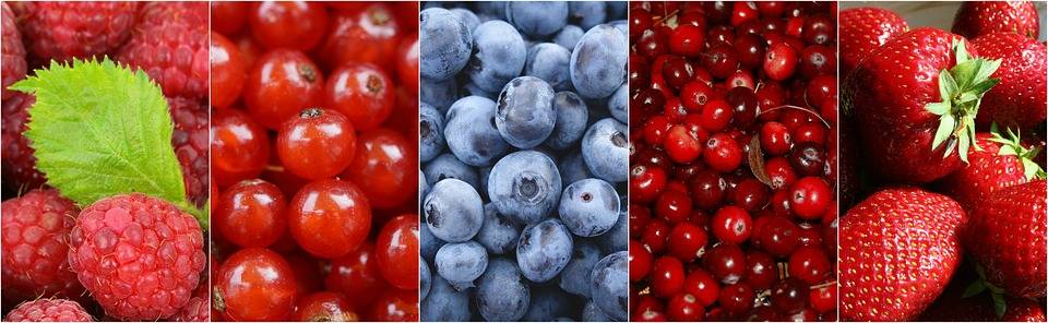 berries-1499900_960_720|24162_modal